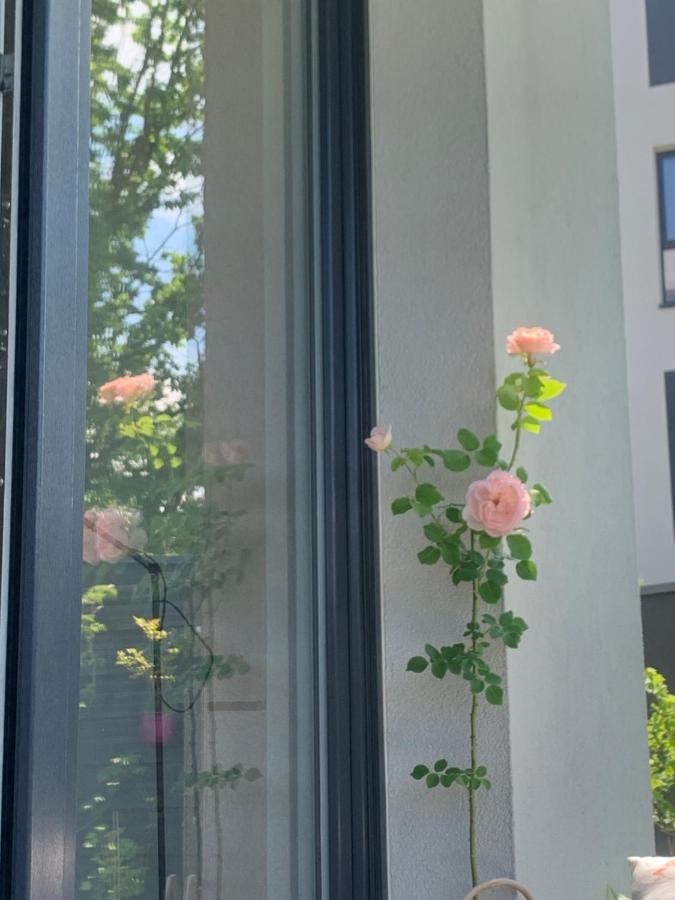 Garden Apartment Self Check-In - Bezkluczowy Dostep W 10 Minut O Kazdej Porze Краків Екстер'єр фото